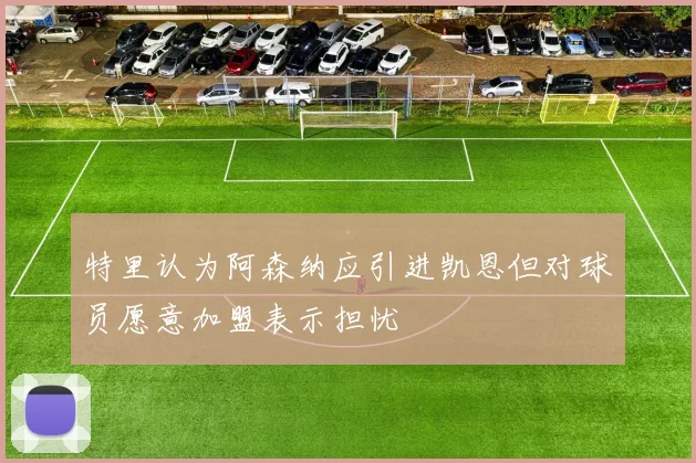 特里认为阿森纳应引进凯恩但对球员愿意加盟表示担忧